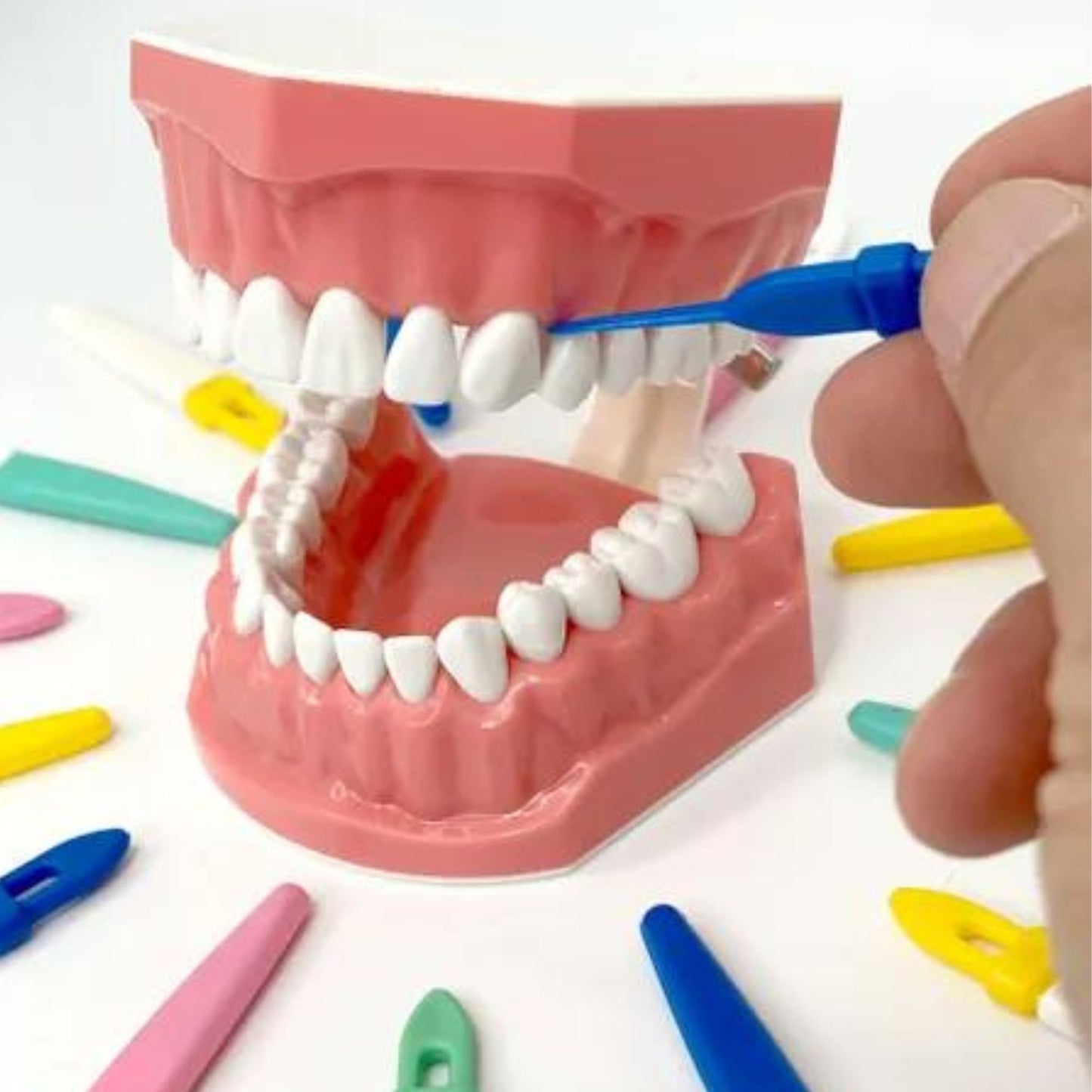 Perma Pic Pack of 12